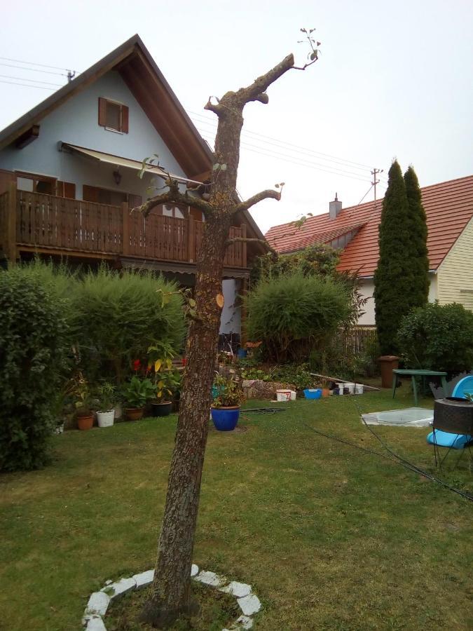 Villa Blue Nördlingen Εξωτερικό φωτογραφία